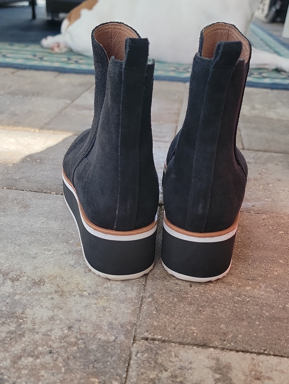 Antonio Melani Brixton Black Suede Platform Sneaker Bootie Sz 8.5 - Picture 4 of 11